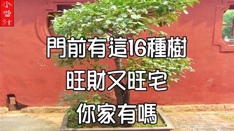 門前種什麼好|門前種這棵樹家裡財運一定旺